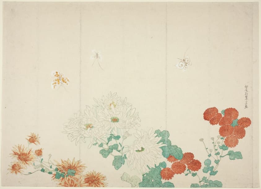 "Three Types of Chrysanthemums" by Kitao Shigemasa